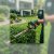 Vienna Landscaping & Outdoor Services by Patriot Pro Solutions LLC
